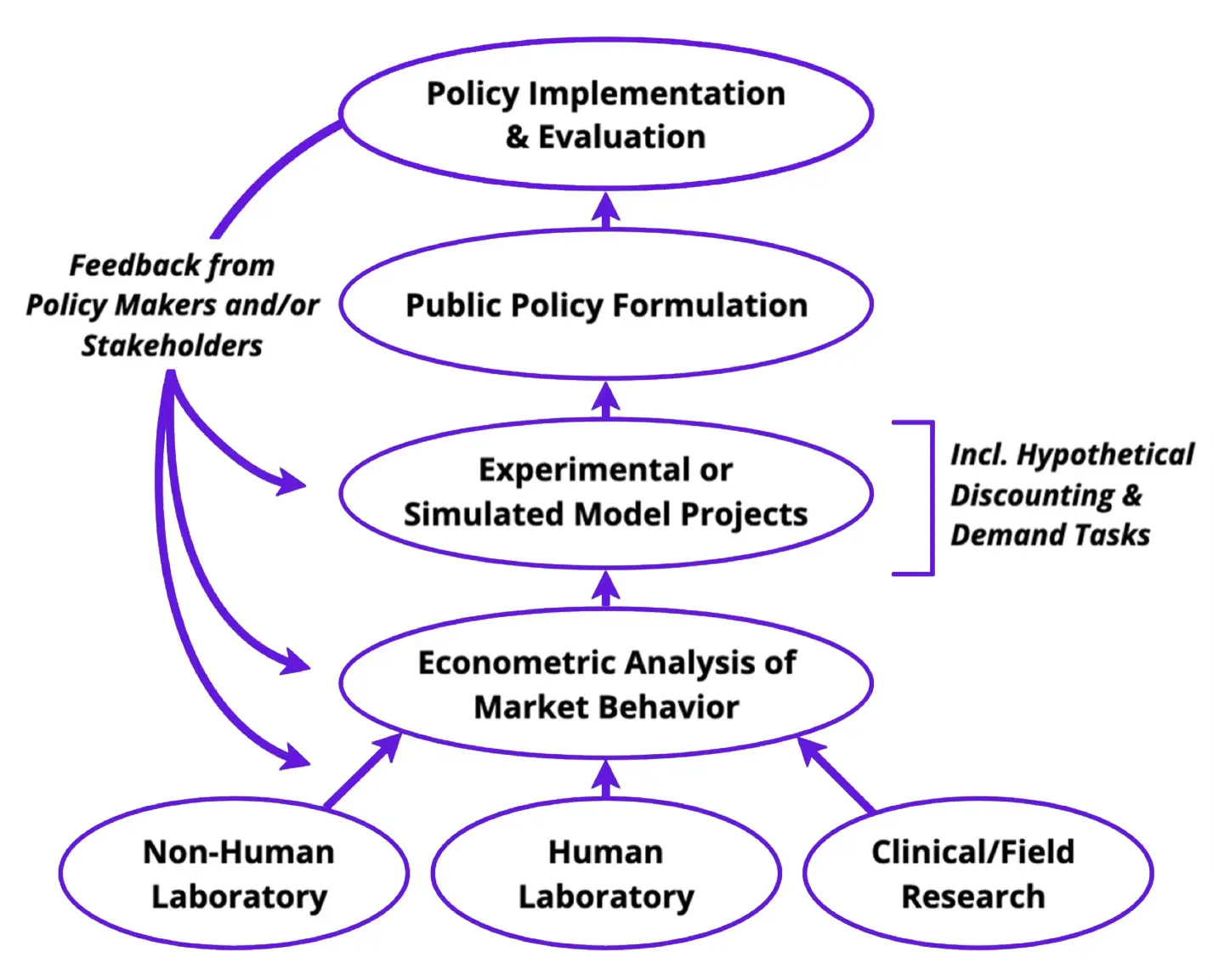 Flowchart diagram illustrating the cyclical relationship between public policy formulation, econometric analysis, laboratory/field research, and stakeholder feedback in behavioral economics-driven policy design.